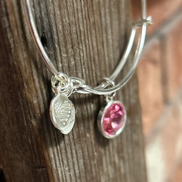 Alex & Ani Bangle Bar Pink Tourmaline October Birthstone Bangle Bracelet - Picture 5 of 14